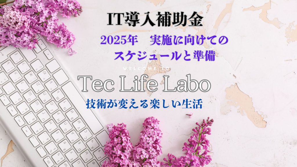 IT導入補助金　2025年　　実施に向けてのスケジュールと準備　アピス